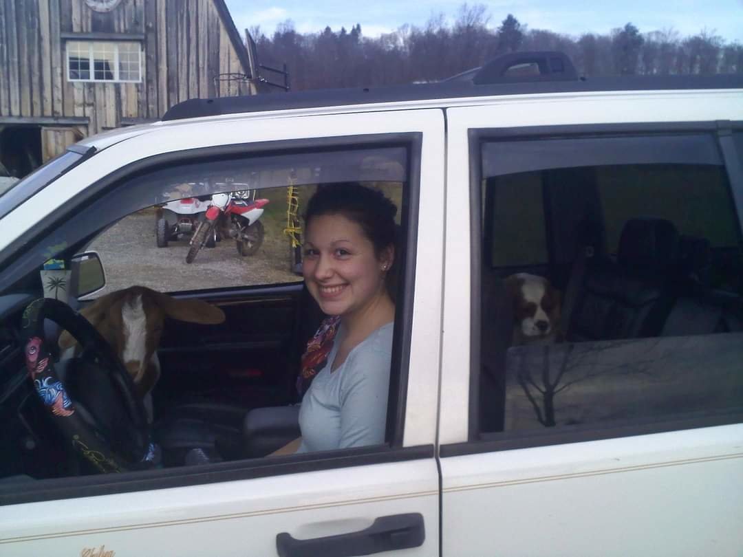Chelsea (owner of Breezy Acres Mini Farm) taking Francis for a drive, with Sammy in the backseat.